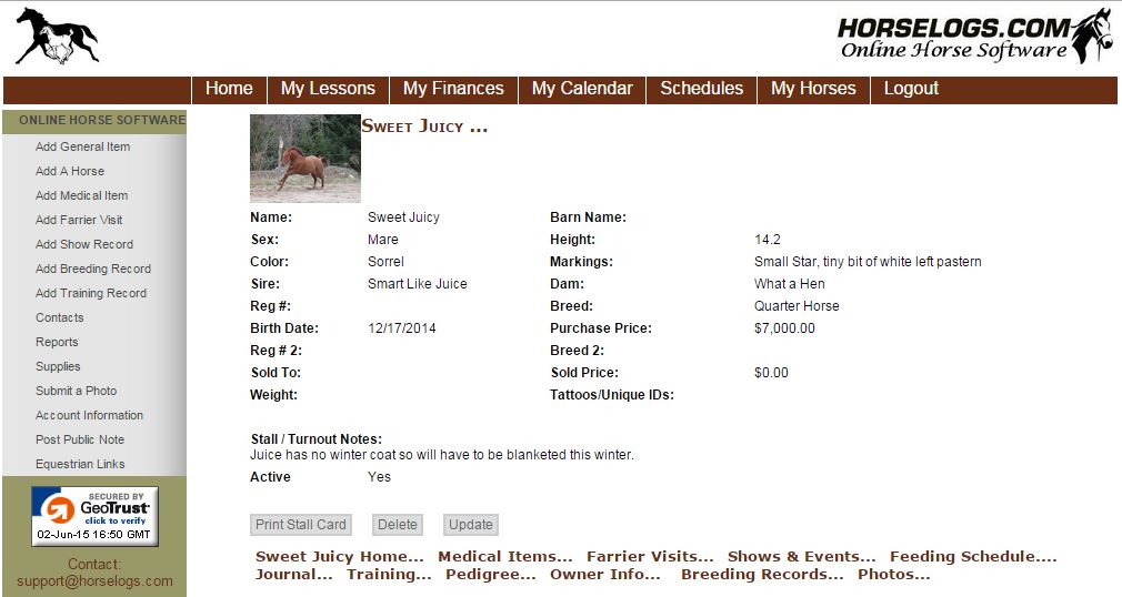 Horse Home Page