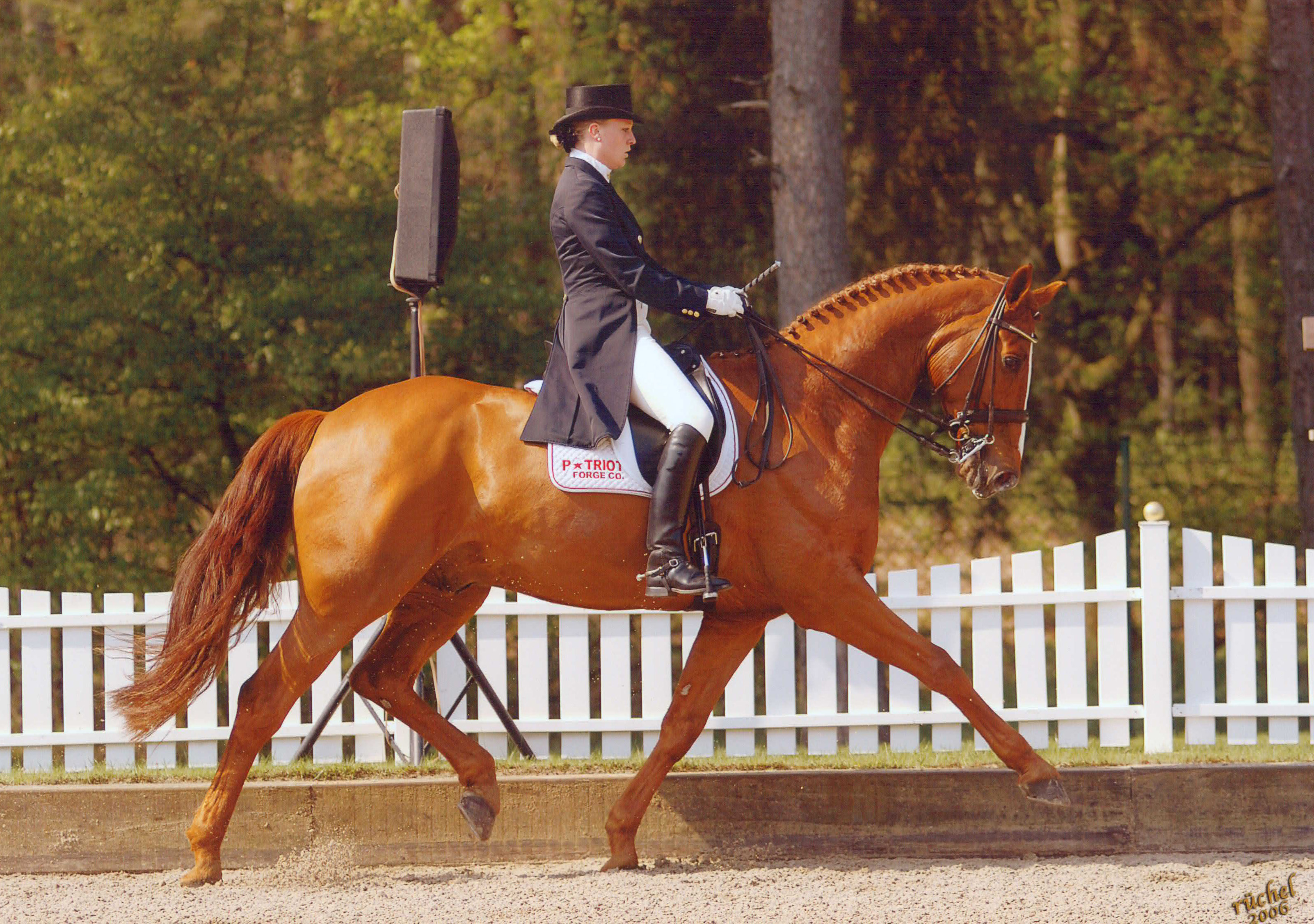 Daisy Dunensand, Equestrian