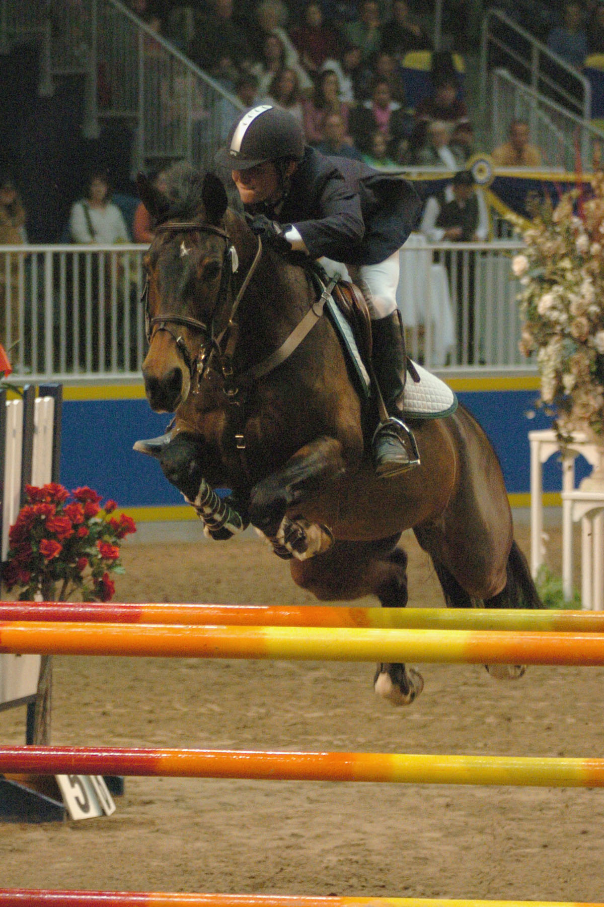 Mark Leyton, Equestrian
